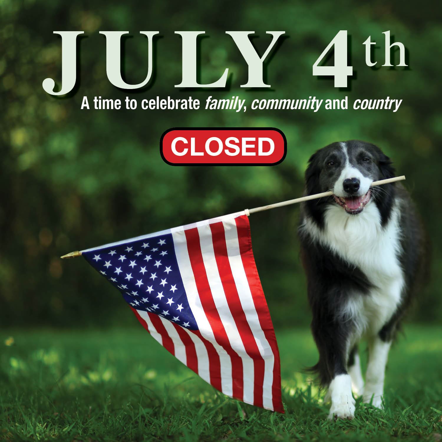 JULY 4th hours Main Image
